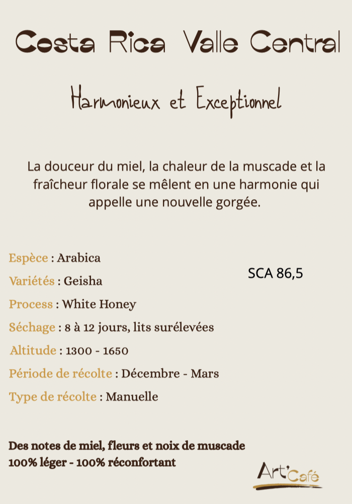 Costa Rica Valle Central Information