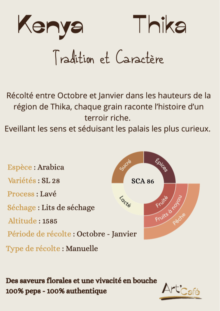 Kenya Thika Information