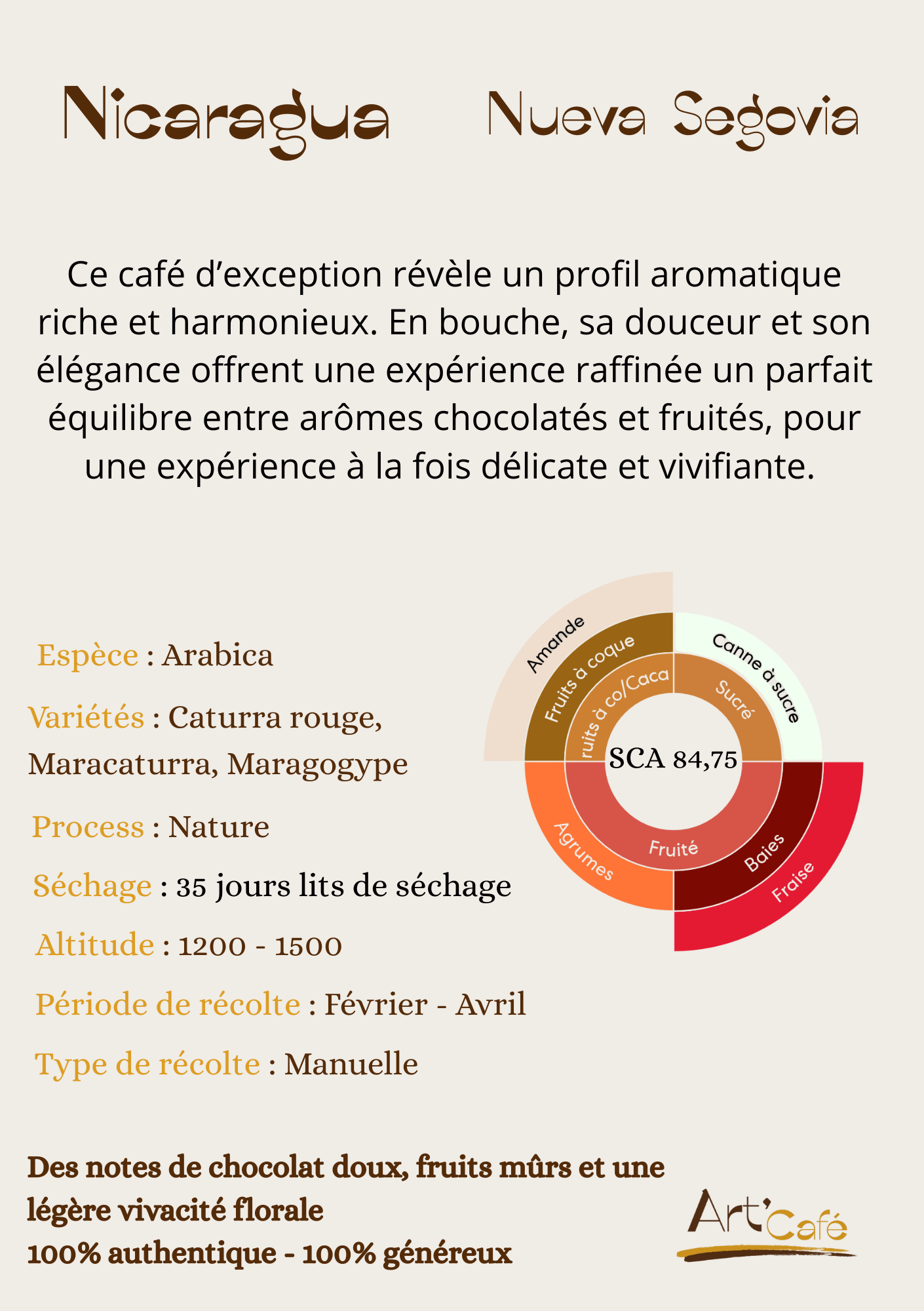 Nicaragua Nueva Segovia Information